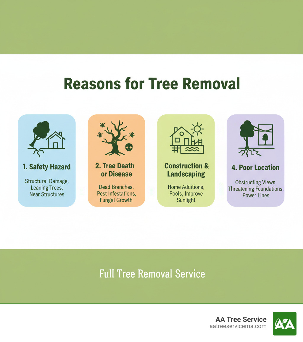 Infographic showing the four main reasons for tree removal: Safety Hazard (trees with structural damage, leaning, or near structures), Tree Death or Disease (dead branches, pest infestations, or fungal growth), Construction and Landscaping (clearing for home additions, pools, or improving sunlight), and Poor Location (obstructing views, threatening foundations, or interfering with power lines) - full tree removal service infographic Infographic showing the four main reasons for tree removal: Safety Hazard (trees with structural damage, leaning, or near structures), Tree Death or Disease (dead branches, pest infestations, or fungal growth), Construction and Landscaping (clearing for home additions, pools, or improving sunlight), and Poor Location (obstructing views, threatening foundations, or interfering with power lines) - full tree removal service infographic