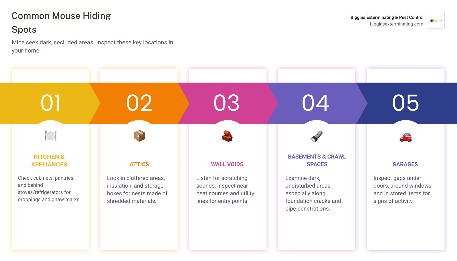Infographic showing a cutaway view of a house with numbered sections indicating common mouse hiding spots: 1. Kitchen cabinets and behind appliances, 2. Attic with insulation and storage boxes, 3. Wall voids near heat sources, 4. Basement and crawl spaces, 5. Garage with gaps under doors. Each area shows visual indicators like droppings, nests, and entry points around foundation cracks and utility lines. - How to find mice? infographic pillar-5-steps