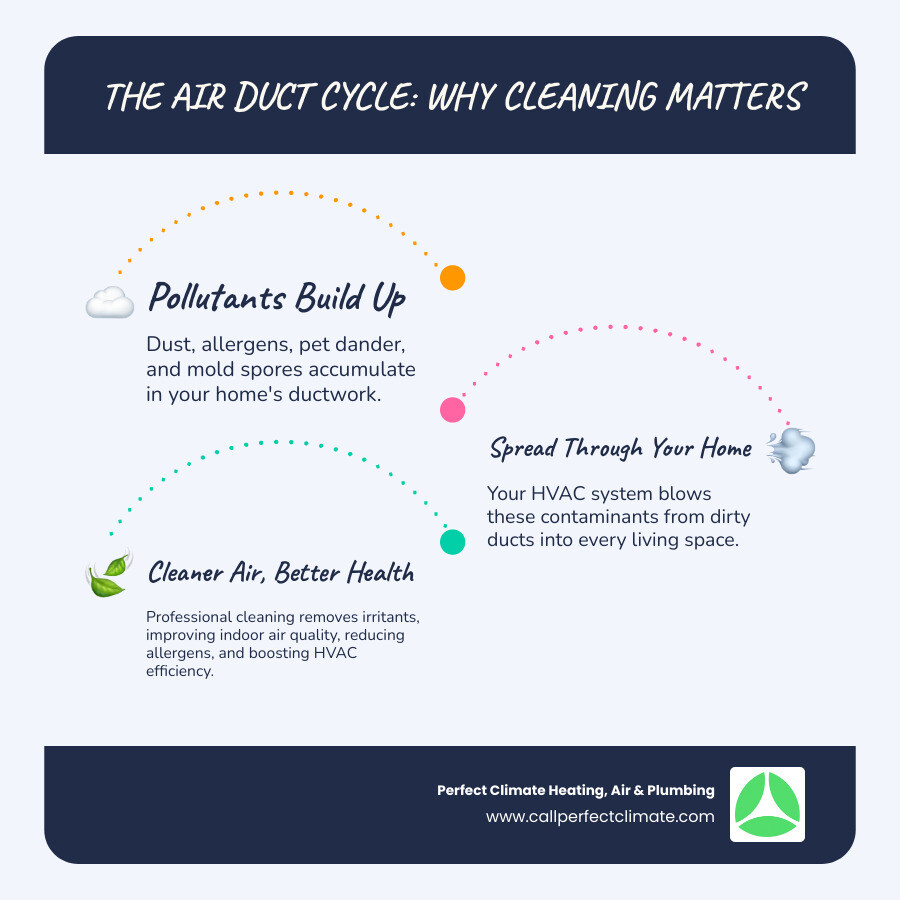 infographic showing how dust and allergens circulate through home HVAC system with arrows indicating airflow from dirty ducts through vents into living spaces and back, highlighting benefits of cleaning including improved air quality, reduced allergens, better efficiency, and lower energy bills - air duct cleaning company near me in newburgh in infographic infographic-line-3-steps-blues-accent_colors