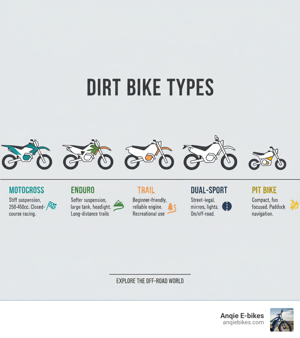 Infographic showing dirt bike types: Motocross bikes feature stiff suspension and 250-450cc engines for closed-course racing; Enduro bikes have softer suspension, larger fuel tanks, and headlights for long-distance trail riding; Trail bikes offer beginner-friendly designs with reliable engines for recreational use; Dual-Sport bikes are street-legal with mirrors and lights for on/off-road riding; Pit bikes are compact, fun-focused machines originally designed for navigating race paddocks - dirt bikes infographic Infographic showing dirt bike types: Motocross bikes feature stiff suspension and 250-450cc engines for closed-course racing; Enduro bikes have softer suspension, larger fuel tanks, and headlights for long-distance trail riding; Trail bikes offer beginner-friendly designs with reliable engines for recreational use; Dual-Sport bikes are street-legal with mirrors and lights for on/off-road riding; Pit bikes are compact, fun-focused machines originally designed for navigating race paddocks - dirt bikes infographic
