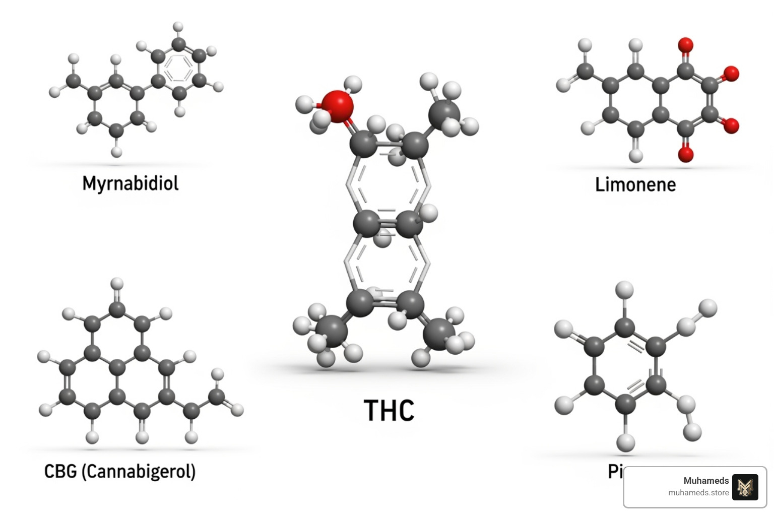 cannabinoid and terpene molecular structures - does indica or sativa make you sleepy