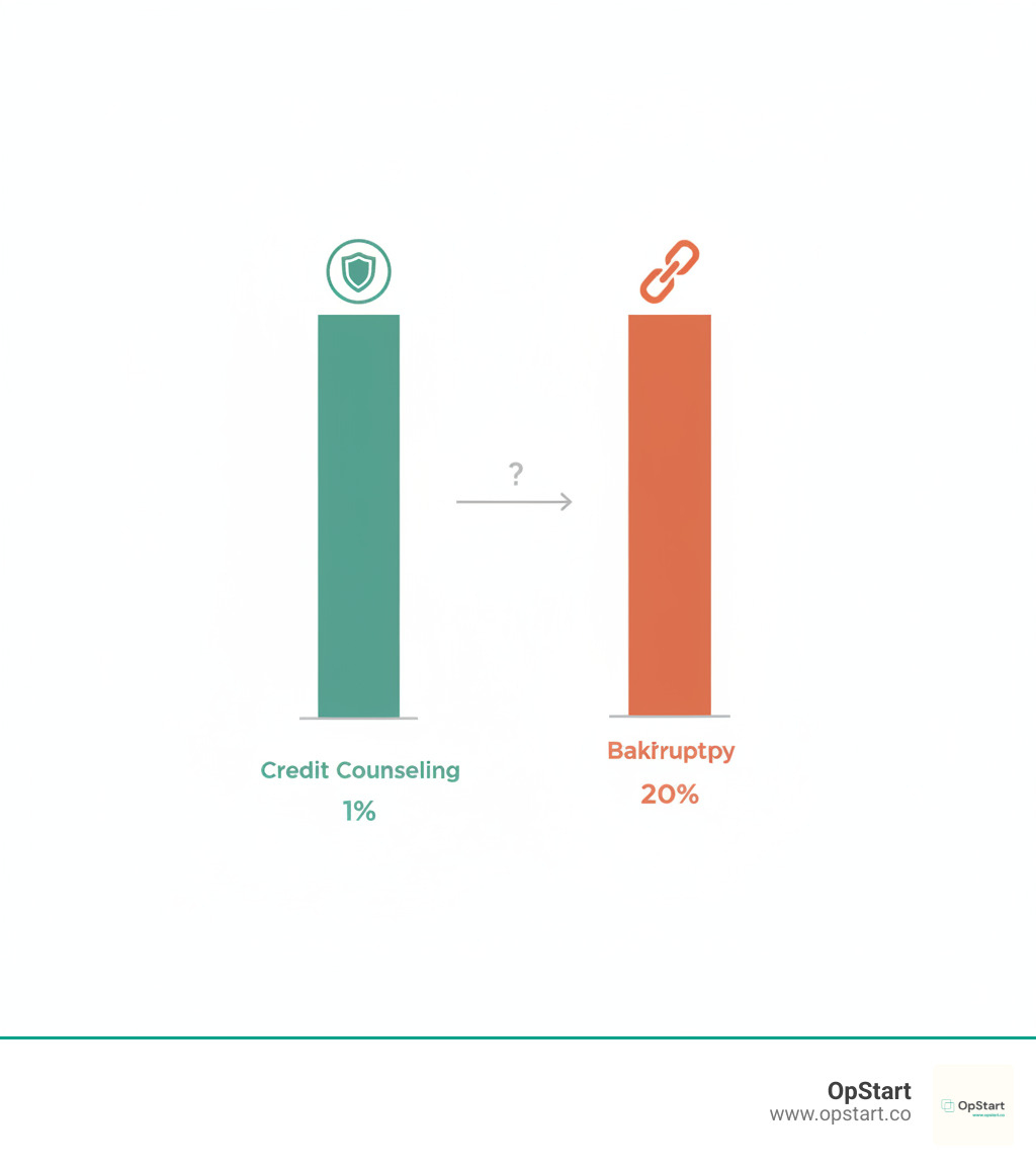 Infographic comparing the recidivism rates of credit counseling (less than 1%) vs. bankruptcy (approximately 20%) - budget planning assistance infographic  Infographic comparing the recidivism rates of credit counseling (less than 1%) vs. bankruptcy (approximately 20%) - budget planning assistance infographic