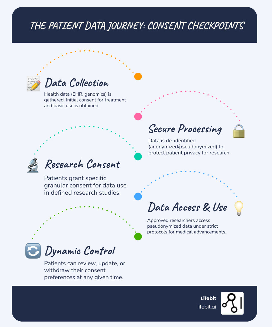 Infographic showing the patient data journey from collection to research, highlighting key points where patient consent is required and managed, including data types, purposes, and withdrawal options. - patient consent management infographic infographic-line-5-steps-blues-accent_colors Infographic showing the patient data journey from collection to research, highlighting key points where patient consent is required and managed, including data types, purposes, and withdrawal options. - patient consent management infographic infographic-line-5-steps-blues-accent_colors