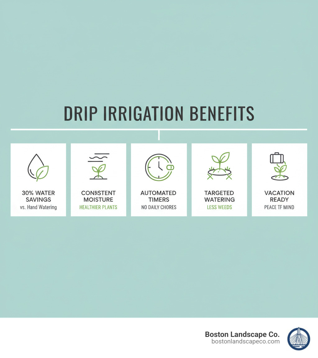 Infographic showing the benefits of drip irrigation for potted plants: 30% water savings compared to hand watering, consistent moisture delivery prevents plant stress, automated timers eliminate daily watering chores, targeted watering reduces weed growth in containers, and systems can water plants while you're on vacation - how to install a drip irrigation system for potted plants infographic 