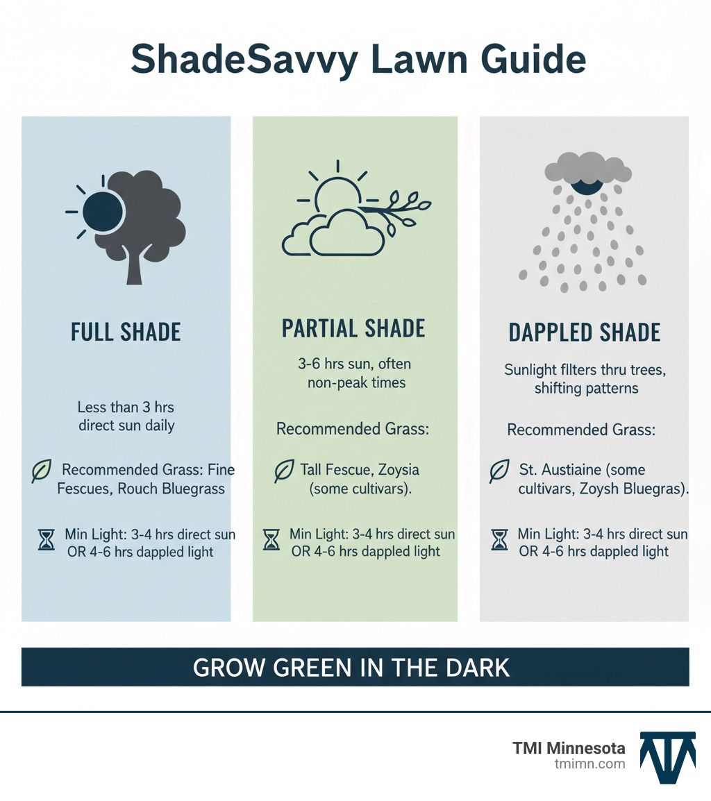 Infographic showing three categories of shade conditions: Full Shade (less than 3 hours direct sun daily), Partial Shade (3-6 hours sun, often at non-peak times), and Dappled Shade (sunlight filters through trees creating shifting sun and shade patterns throughout the day). Each category includes recommended grass types and minimum light requirements for successful growth. - best turf for shade infographic 