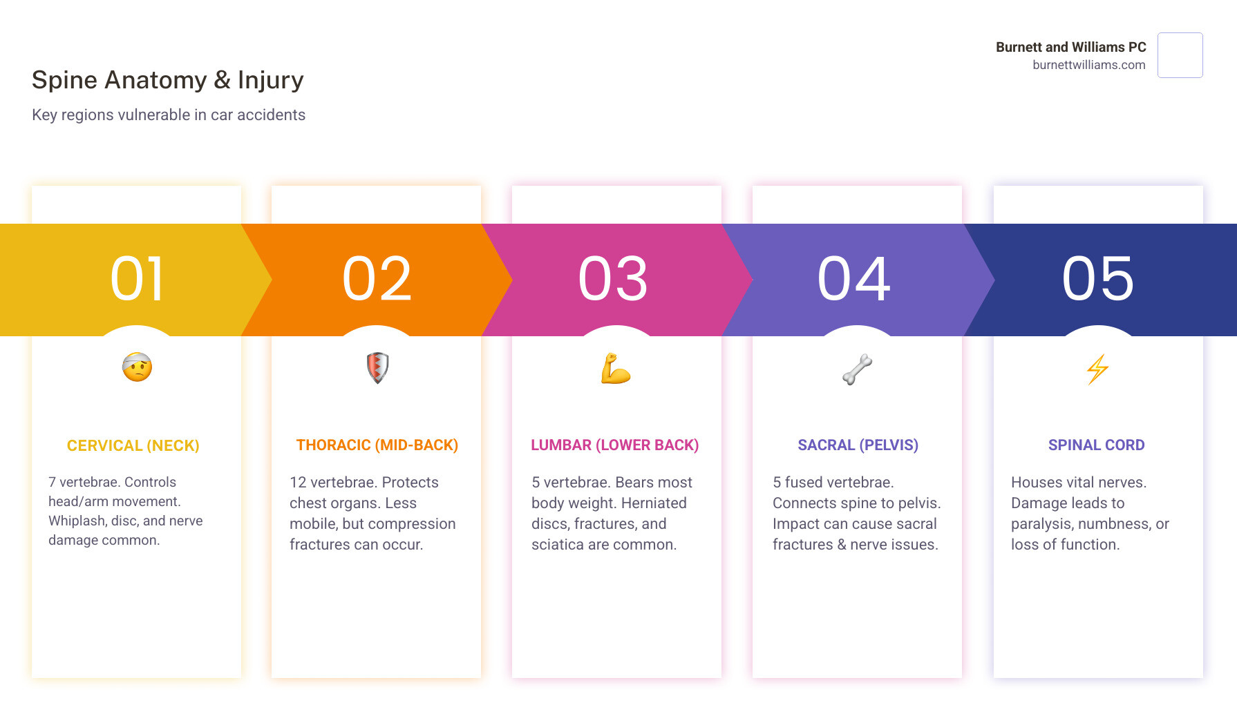 Infographic showing the human spine's anatomy with three main regions labeled: Cervical Spine (neck, 7 vertebrae, controls neck movement and arm function), Thoracic Spine (mid-back, 12 vertebrae, protects chest organs), and Lumbar Spine (lower back, 5 vertebrae, bears most body weight). The infographic also shows the Sacral Region at the base and highlights common injury zones in each region with brief descriptions of how car accident forces affect each area. - Car accident spinal injury infographic pillar-5-steps Infographic showing the human spine's anatomy with three main regions labeled: Cervical Spine (neck, 7 vertebrae, controls neck movement and arm function), Thoracic Spine (mid-back, 12 vertebrae, protects chest organs), and Lumbar Spine (lower back, 5 vertebrae, bears most body weight). The infographic also shows the Sacral Region at the base and highlights common injury zones in each region with brief descriptions of how car accident forces affect each area. - Car accident spinal injury infographic pillar-5-steps