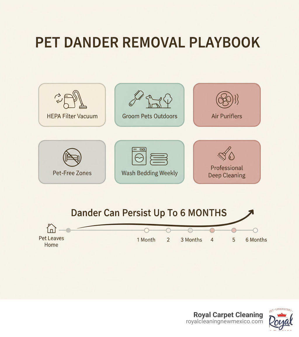 infographic showing step-by-step process to remove pet dander including vacuuming with HEPA filters, grooming pets outdoors, using air purifiers, establishing pet-free zones, washing bedding weekly, and professional deep cleaning with timeline showing dander can persist for up to 6 months - Remove pet dander infographic 