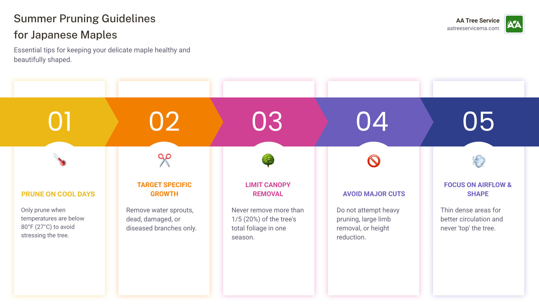 Infographic showing summer pruning guidelines for Japanese maples: prune on cool days below 80°F, remove only water sprouts and dead wood, limit removal to 1/5 of canopy, avoid major cuts, focus on thinning for airflow, and never top the tree - pruning japanese maple in summer infographic pillar-5-steps