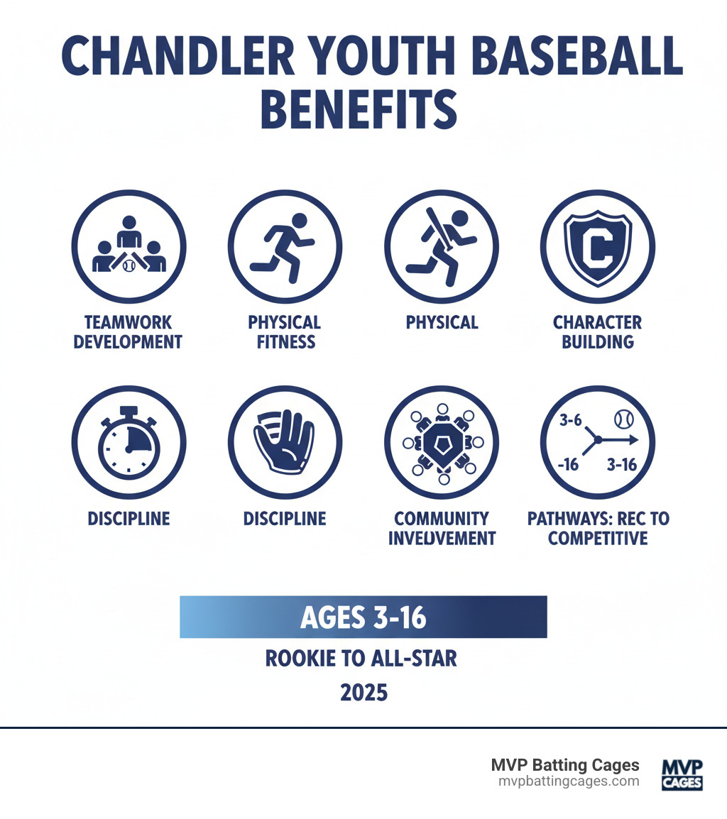 infographic showing benefits of youth baseball including teamwork development, physical fitness, character building, discipline, community involvement, and pathways from recreational to competitive play across age groups 3-16 - Chandler youth baseball infographic 