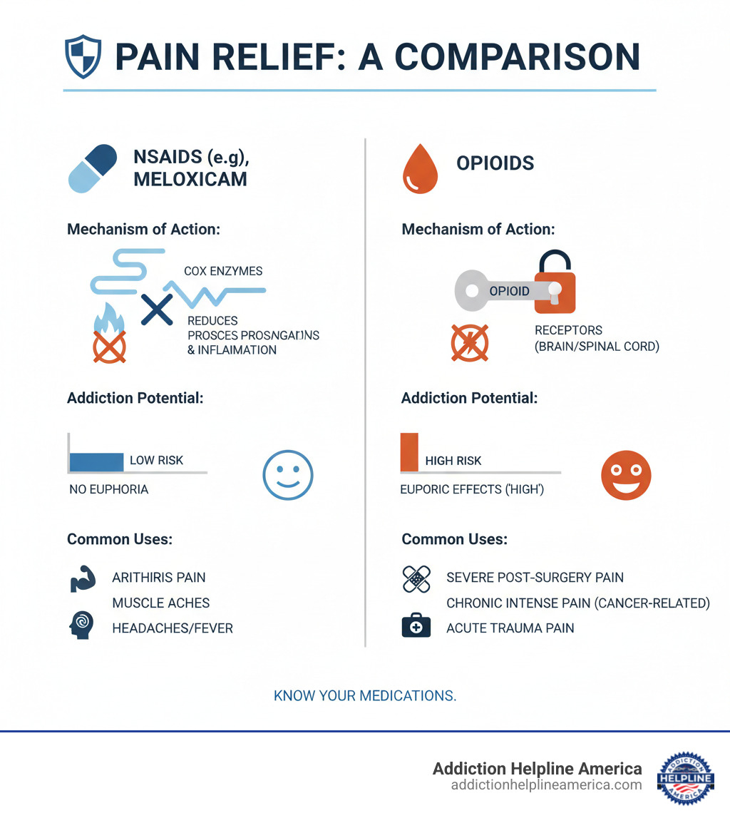 infographic showing comparison between NSAIDs like meloxicam and opioids, including mechanism of action - NSAIDs block COX enzymes to reduce prostaglandins and inflammation, while opioids bind to receptors in the brain and spinal cord to block pain signals; addiction potential - NSAIDs have low addiction risk with no euphoria, opioids have high addiction risk with euphoric effects; and common uses - meloxicam addiction infographic 