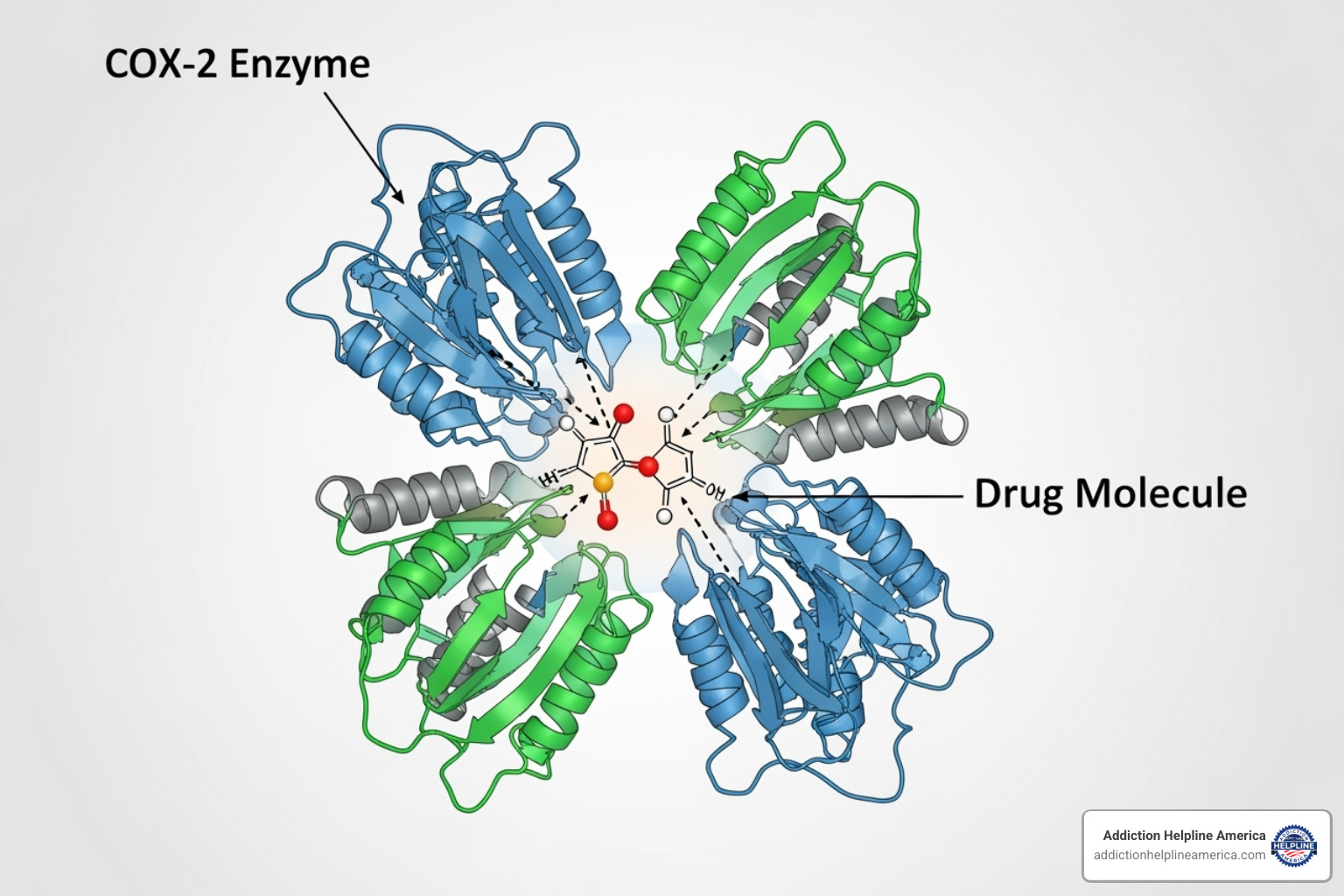 COX-2 enzyme being blocked illustration - meloxicam addiction