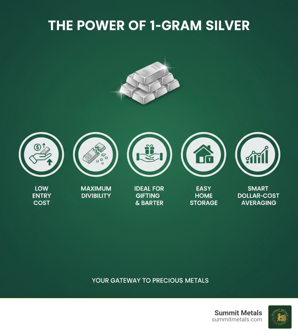 Infographic showing the benefits of 1-gram silver bars: low entry cost, maximum divisibility, ideal for gifting and barter, easy home storage, and a smart way to dollar-cost average into precious metals - buy 1 gram silver infographic Infographic showing the benefits of 1-gram silver bars: low entry cost, maximum divisibility, ideal for gifting and barter, easy home storage, and a smart way to dollar-cost average into precious metals - buy 1 gram silver infographic