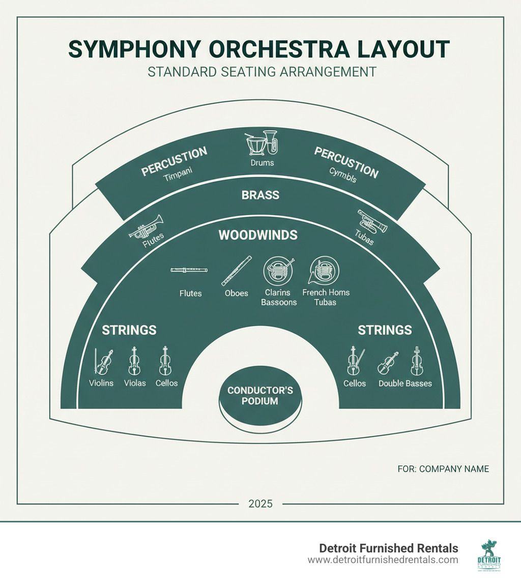 Infographic showing the standard symphony orchestra layout with four sections: strings in front (violins, violas, cellos, double basses), woodwinds in the middle (flutes, oboes, clarinets, bassoons), brass behind them (trumpets, French horns, trombones, tubas), and percussion at the back (timpani, drums, cymbals), with the conductor's podium at the center front - orchestra infographic 