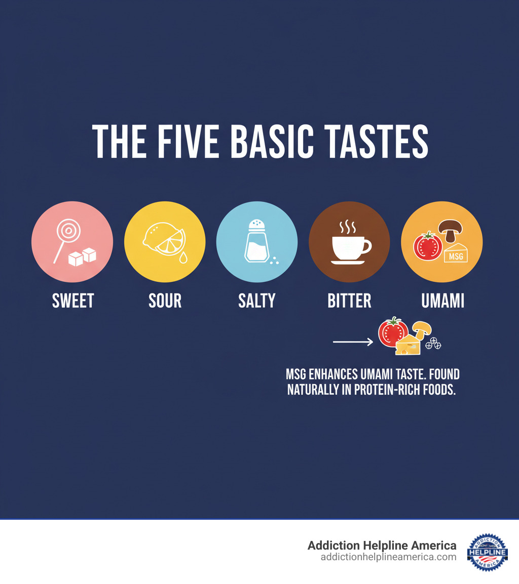 Infographic showing the five basic tastes: Sweet (represented by sugar/candy), Sour (lemon), Salty (salt shaker), Bitter (coffee), and Umami (MSG crystals, parmesan cheese, tomatoes, mushrooms). MSG enhances the umami taste, which is naturally present in many protein-rich foods. - can you be addicted to msg infographic  Infographic showing the five basic tastes: Sweet (represented by sugar/candy), Sour (lemon), Salty (salt shaker), Bitter (coffee), and Umami (MSG crystals, parmesan cheese, tomatoes, mushrooms). MSG enhances the umami taste, which is naturally present in many protein-rich foods. - can you be addicted to msg infographic
