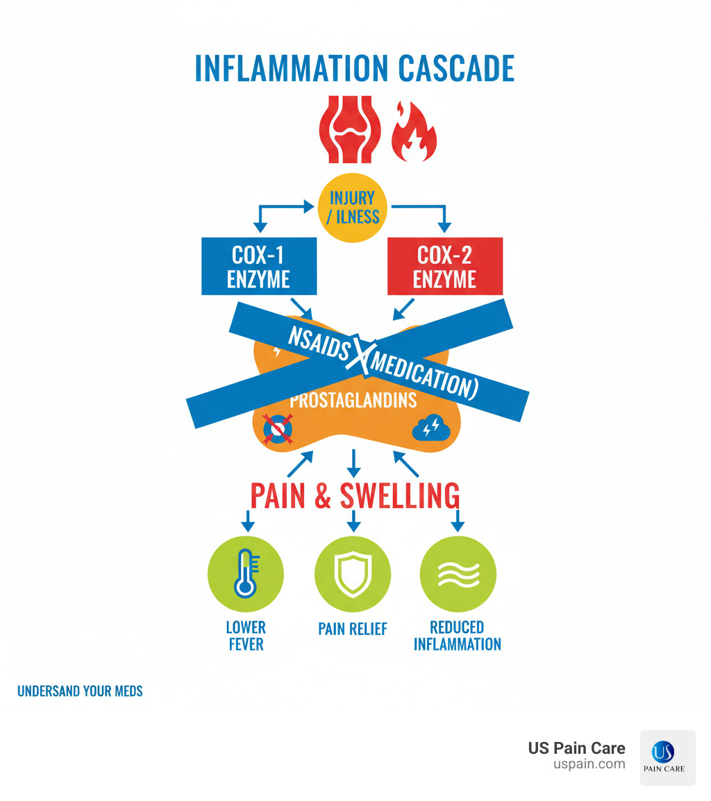 Infographic showing the inflammatory cascade in the body, highlighting where prostaglandins cause pain and swelling, how COX-1 and COX-2 enzymes produce these chemicals, and where NSAIDs intervene to block this process, resulting in reduced inflammation, pain relief, and lower fever - inflammation medication infographic 