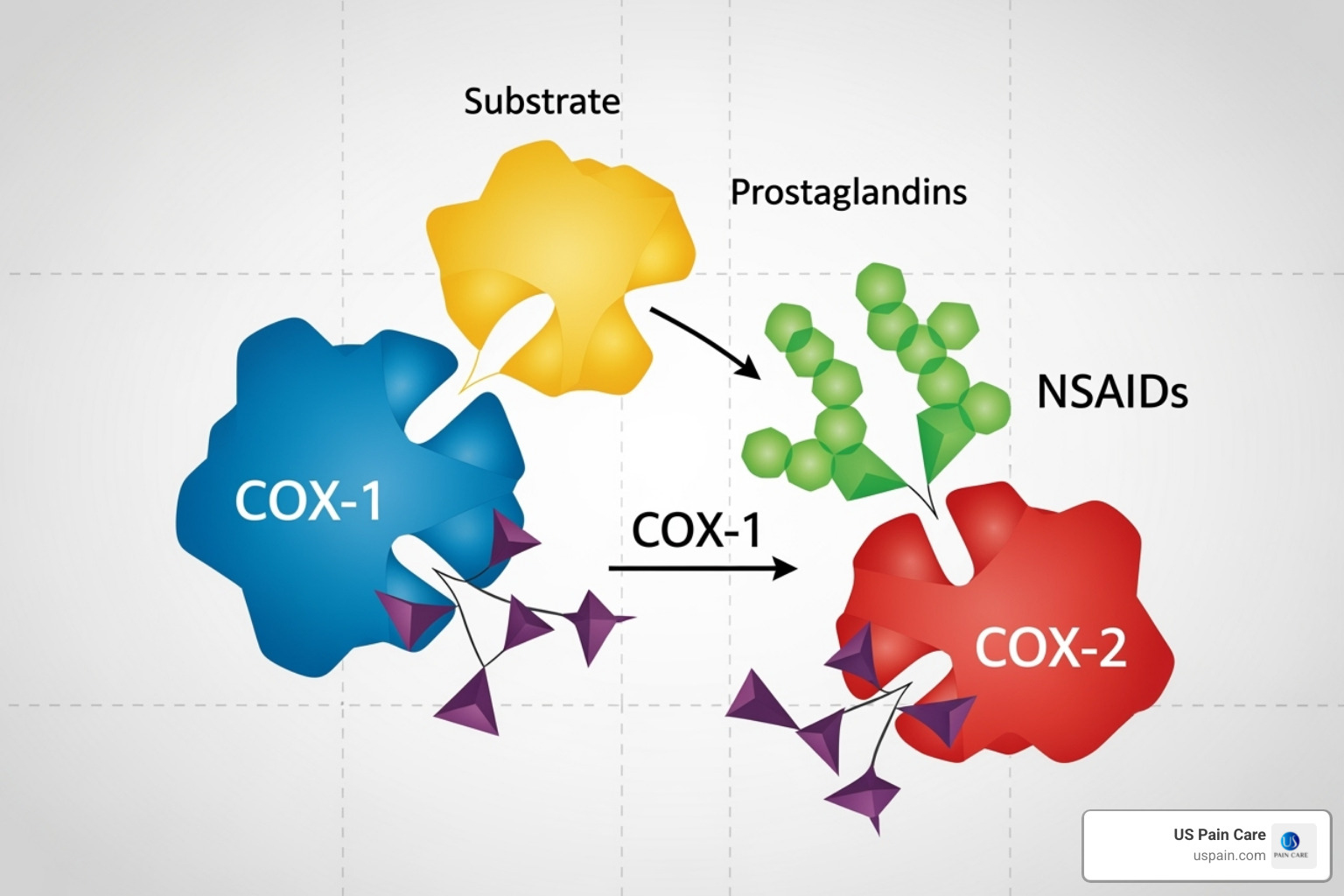 Image illustrating the COX-1 and COX-2 enzyme pathways, showing how NSAIDs inhibit prostaglandin synthesis - inflammation medication