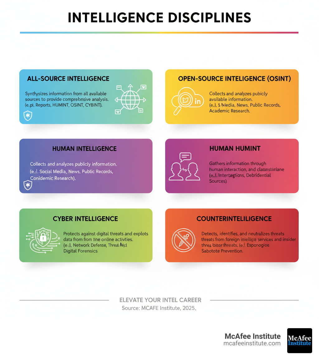 Infographic explaining the different intelligence disciplines (e.g., All-Source, OSINT, HUMINT, Cyber Intelligence, Counterintelligence) - best accredited intelligence certifications, infographic Infographic explaining the different intelligence disciplines (e.g., All-Source, OSINT, HUMINT, Cyber Intelligence, Counterintelligence) - best accredited intelligence certifications, infographic
