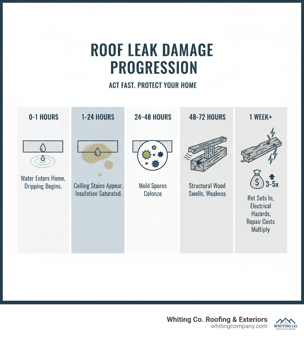 Timeline infographic showing roof leak damage progression: 0-1 hours - water enters home, active dripping begins; 1-24 hours - ceiling stains appear, insulation becomes saturated; 24-48 hours - mold spores begin colonizing damp areas; 48-72 hours - structural wood begins swelling and weakening; 1 week+ - rot sets in, electrical hazards develop, repair costs multiply 3-5x - Fast roof repair services infographic 
