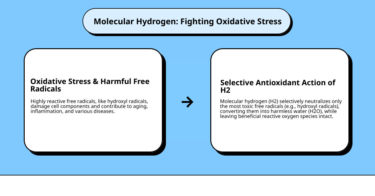 Infographic showing how molecular hydrogen (H2) molecules penetrate cell membranes to neutralize harmful hydroxyl radicals and peroxynitrite, converting them into harmless water molecules while leaving beneficial reactive oxygen species intact, with visual representation of oxidative stress reduction at the cellular level - Hydrogenated Water infographic cause_effect_text