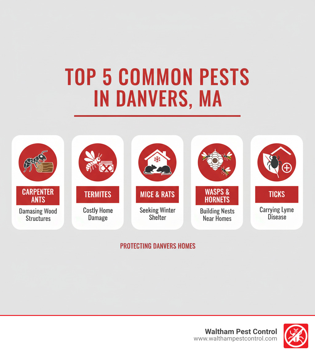 Infographic showing the top 5 most common pests in Danvers MA: carpenter ants damaging wood structures, termites causing billions in annual damage, mice and rats seeking winter shelter, wasps and hornets building nests near homes, and ticks carrying Lyme disease in wooded areas - exterminator in danvers ma infographic 