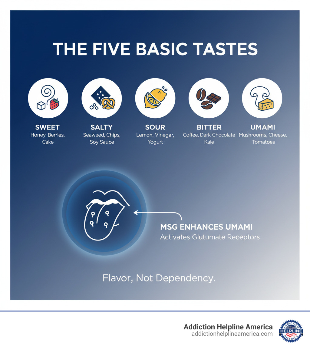 Infographic showing the five basic tastes: sweet, salty, sour, bitter, and umami (savory), with examples of foods for each taste and highlighting that MSG specifically enhances umami flavor through glutamate receptors on the tongue - does msg make you addicted to food infographic Infographic showing the five basic tastes: sweet, salty, sour, bitter, and umami (savory), with examples of foods for each taste and highlighting that MSG specifically enhances umami flavor through glutamate receptors on the tongue - does msg make you addicted to food infographic