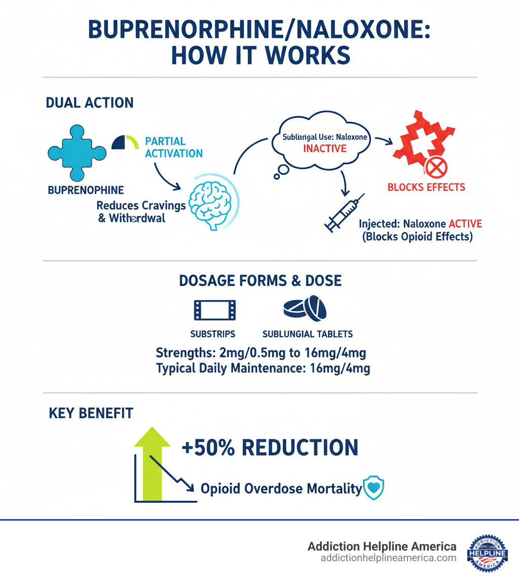 Infographic showing how buprenorphine partially activates opioid receptors to reduce cravings and withdrawal while naloxone remains inactive when taken sublingually but blocks opioid effects if injected, plus dosage forms including sublingual films and tablets in various strengths, typical maintenance dose of 16mg/4mg daily, and key benefits including 50% reduction in overdose mortality - buprenorphine naloxone infographic  Infographic showing how buprenorphine partially activates opioid receptors to reduce cravings and withdrawal while naloxone remains inactive when taken sublingually but blocks opioid effects if injected, plus dosage forms including sublingual films and tablets in various strengths, typical maintenance dose of 16mg/4mg daily, and key benefits including 50% reduction in overdose mortality - buprenorphine naloxone infographic