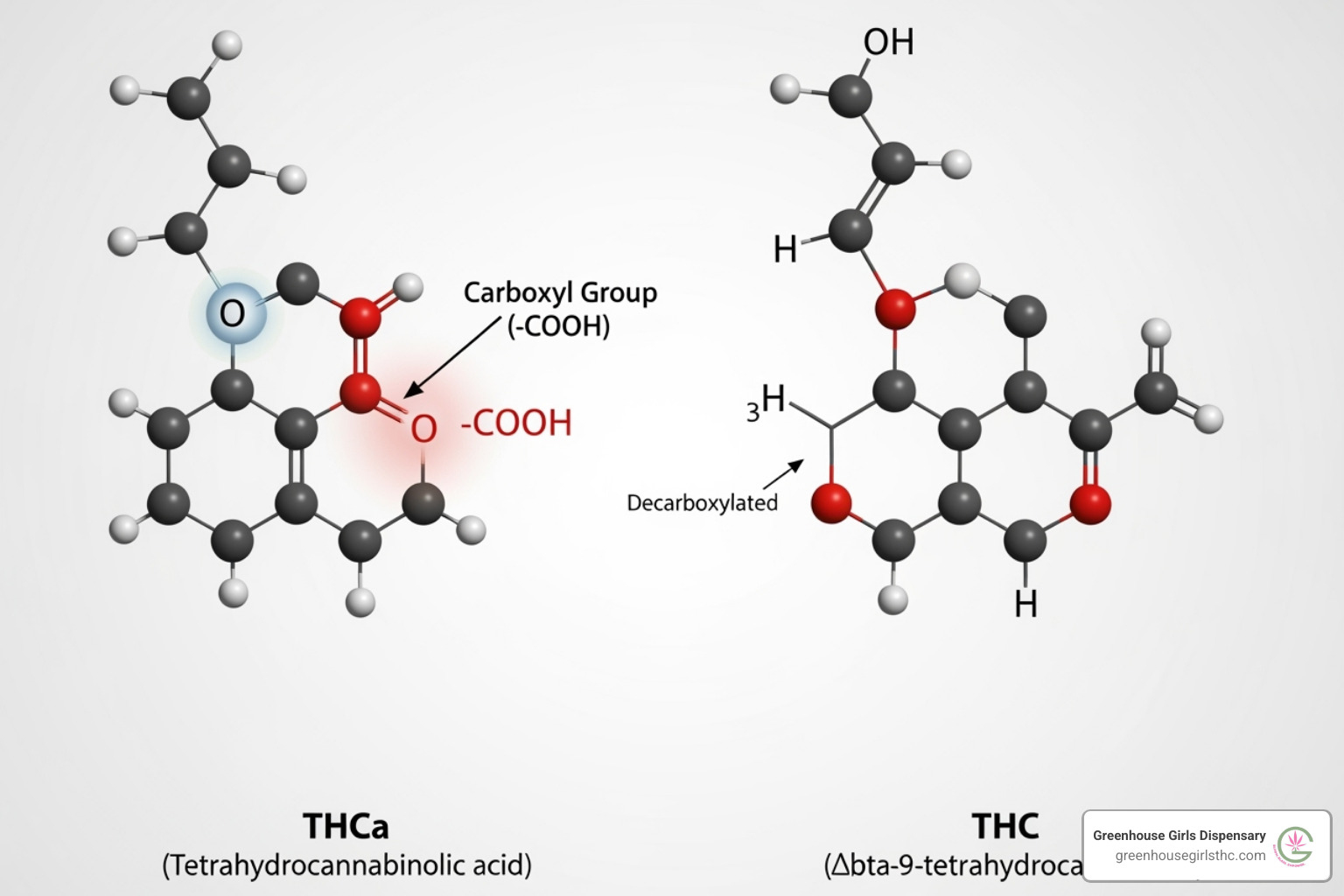 Molecular structure of THCa and THC - thca dispensary near me