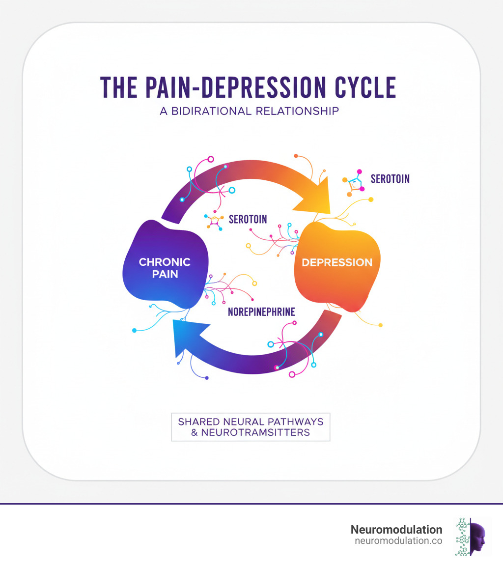 infographic showing the bidirectional relationship between chronic pain and depression with arrows indicating shared neural pathways and neurotransmitters - SCS and depression infographic 