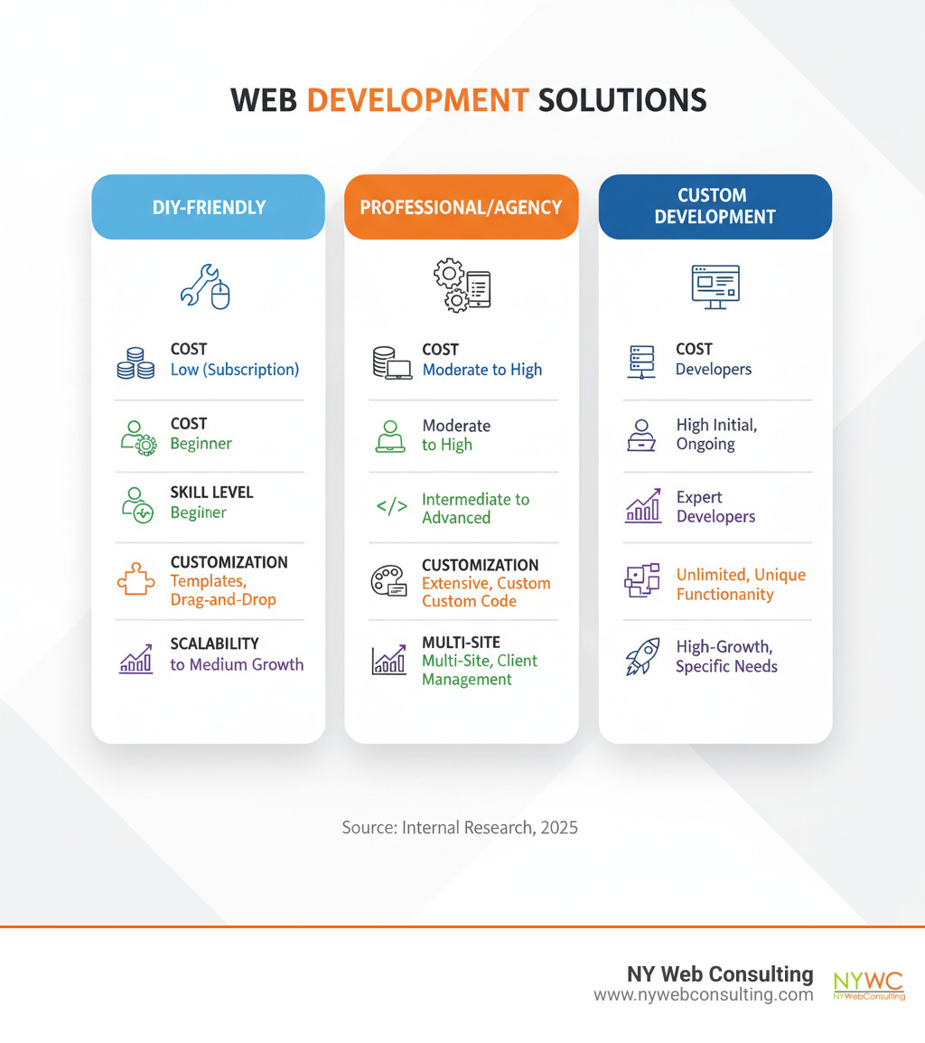 Infographic comparing DIY, Professional/Agency, and Custom Web Development Solutions - Business website solutions infographic 