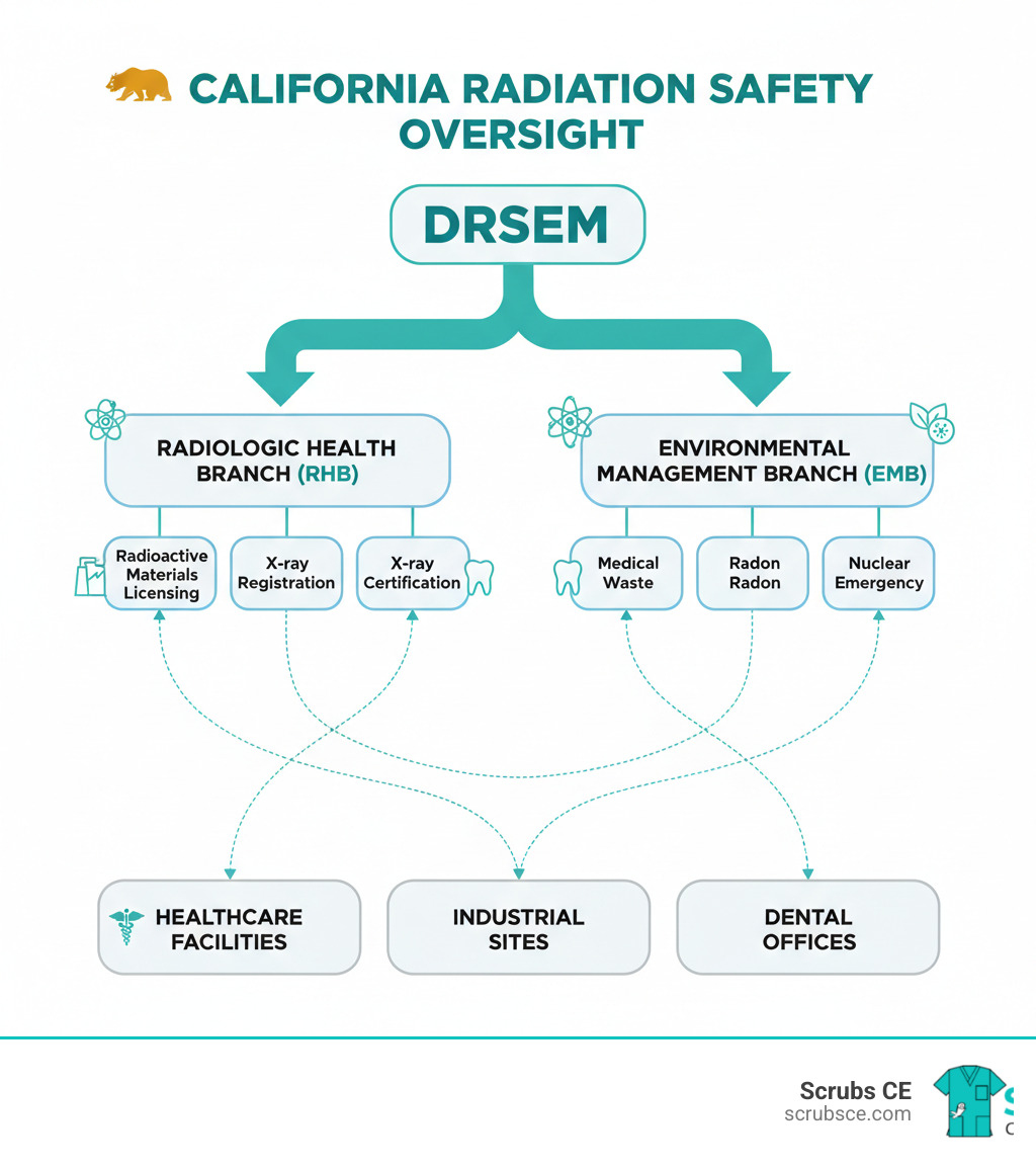 Infographic showing California radiation safety oversight structure: DRSEM at top, branching to Radiologic Health Branch (radioactive materials licensing, X-ray registration, user certification, inspections) and Environmental Management Branch (medical waste, radon, nuclear emergency), both connecting to healthcare facilities, industrial sites, and dental offices at bottom - California radiation safety infographic 