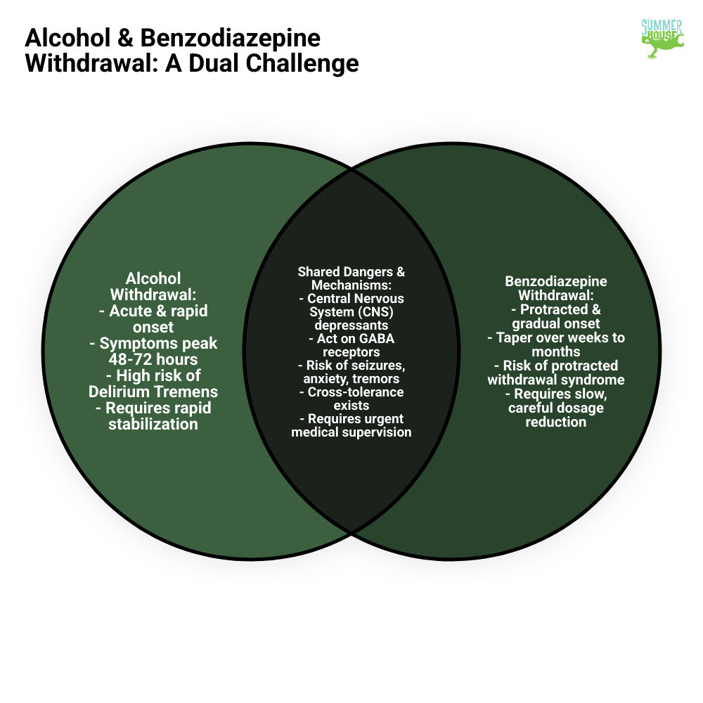 Infographic comparing alcohol withdrawal timeline (6-72 hours for acute symptoms) versus benzodiazepine withdrawal timeline (weeks to months for safe taper), showing how alcohol peaks rapidly while benzos require gradual reduction, with shared risks including seizures, anxiety, tremors, and the danger of attempting a single protocol for both substances - does benzodiazepines detox protocol cover alcohol as well as infographic venn_diagram