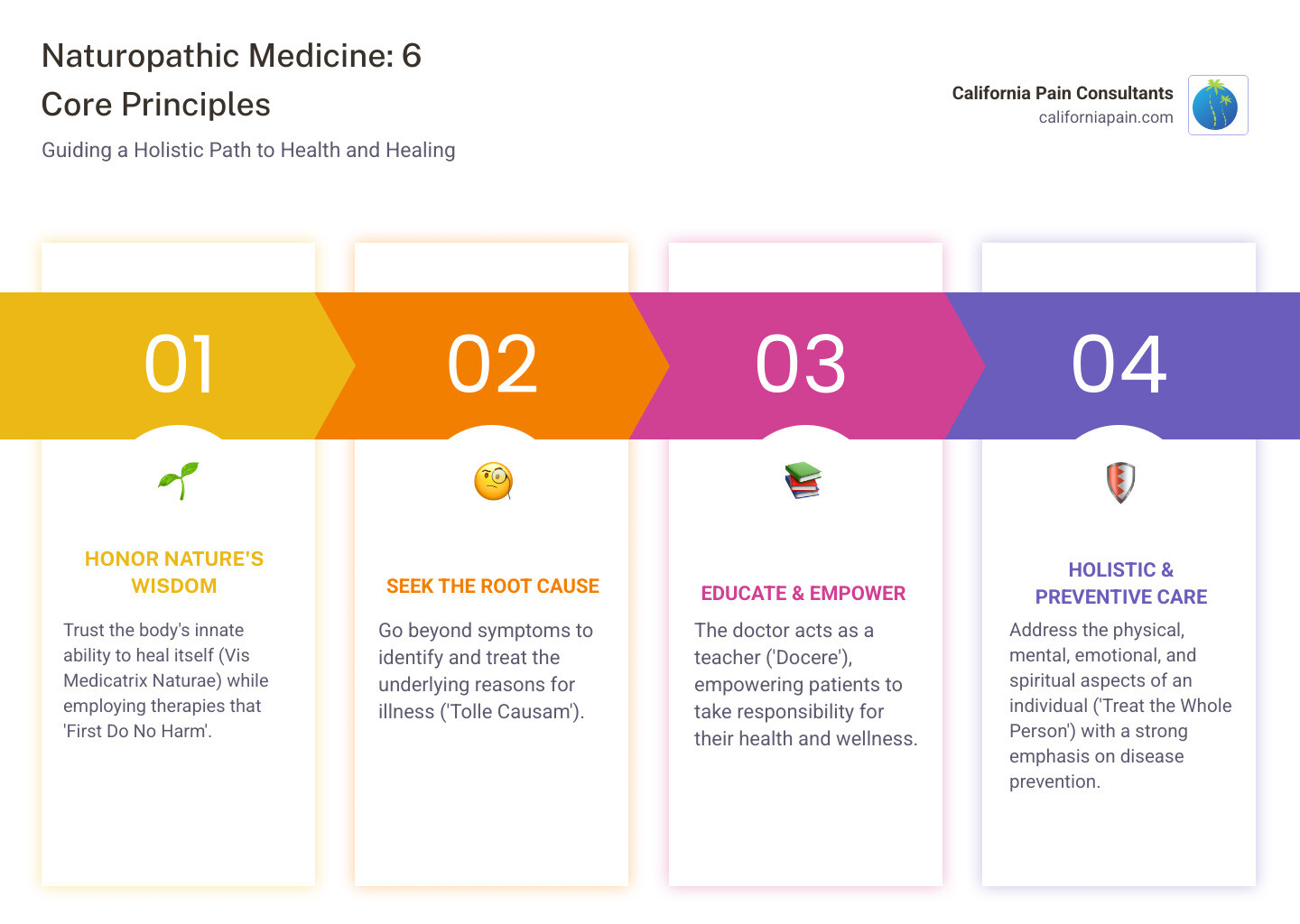 Infographic explaining the 6 core principles of naturopathic medicine - naturopathic medicine infographic pillar-4-steps