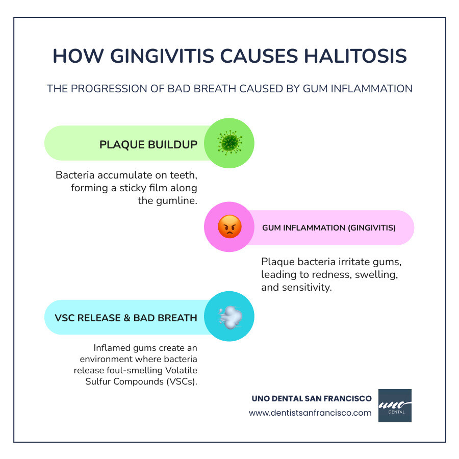 Infographic showing the progression from plaque buildup on teeth to bacterial inflammation of gums (gingivitis) to the release of volatile sulfur compounds that cause bad breath, with arrows indicating each stage and visual representations of healthy vs. inflamed gum tissue - bad breath gingivitis infographic infographic-line-3-steps-colors Infographic showing the progression from plaque buildup on teeth to bacterial inflammation of gums (gingivitis) to the release of volatile sulfur compounds that cause bad breath, with arrows indicating each stage and visual representations of healthy vs. inflamed gum tissue - bad breath gingivitis infographic infographic-line-3-steps-colors
