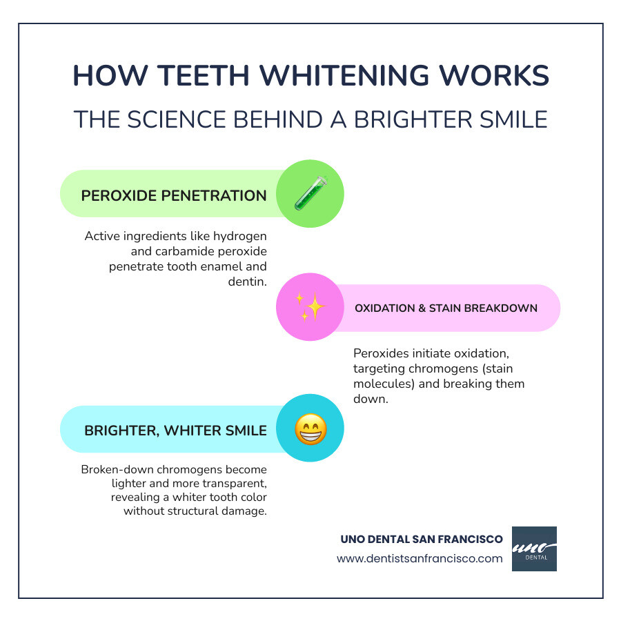 Infographic showing how teeth whitening works: peroxide-based agents penetrate tooth enamel, breaking down chromogen molecules through oxidation, resulting in lighter tooth color without damaging tooth structure - is teeth whitening safe infographic infographic-line-3-steps-colors