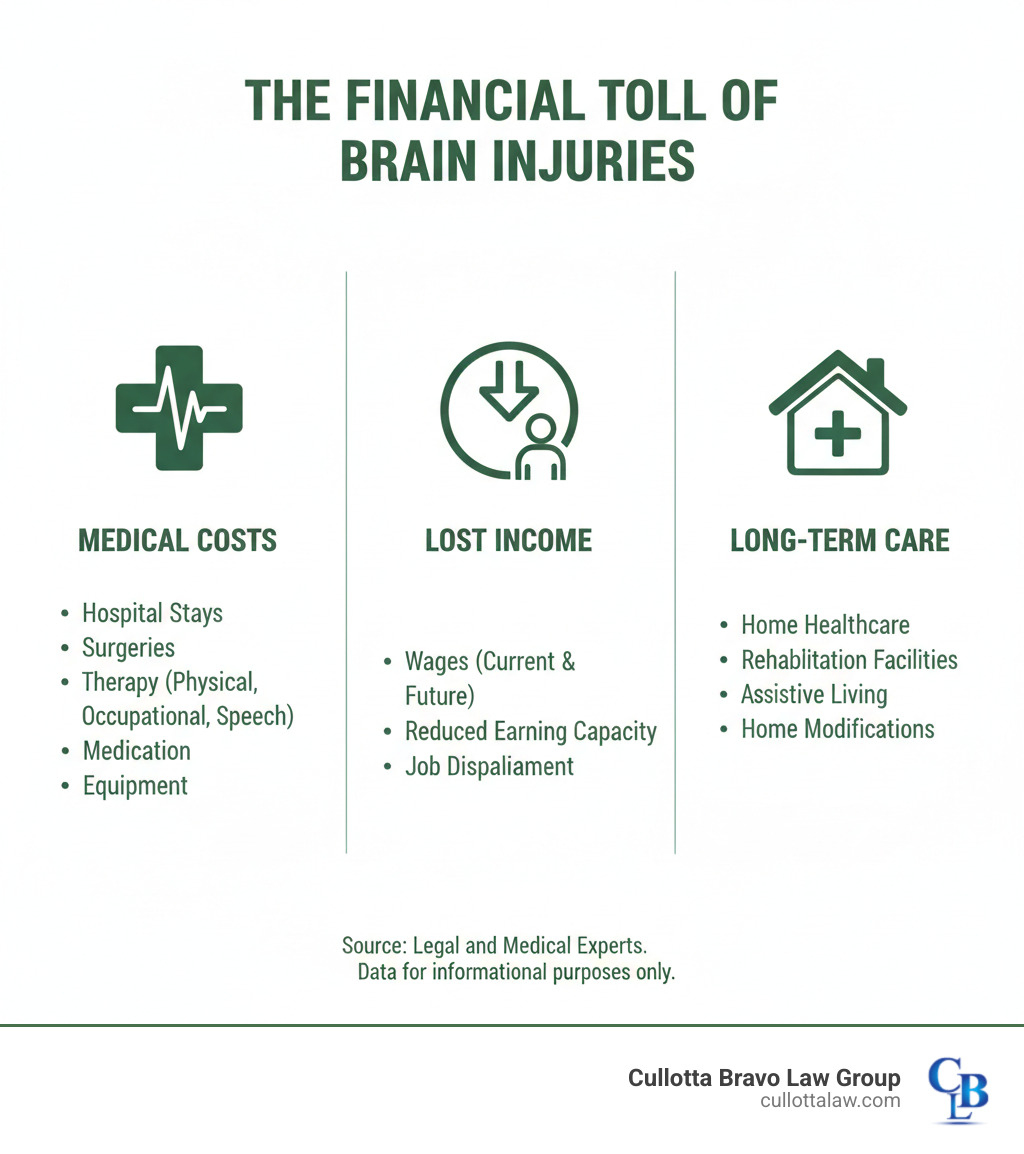 Infographic detailing the financial burden of brain injuries, including medical costs, lost income, and long-term care expenses - Chicago brain injury lawyer infographic 