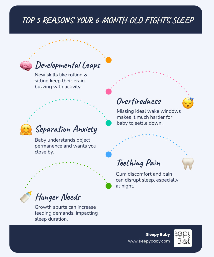 Infographic showing the top 5 reasons a 6-month-old fights sleep: 1) Developmental Milestones (rolling, sitting, babbling) - brain too excited to rest, 2) Overtiredness - missed wake windows make falling asleep harder, 3) Separation Anxiety - baby knows you're nearby and wants you close, 4) Teething - gum pain causes discomfort, 5) Hunger - growth spurts increase feeding needs - 6 month old fighting sleep infographic infographic-line-5-steps-blues-accent_colors