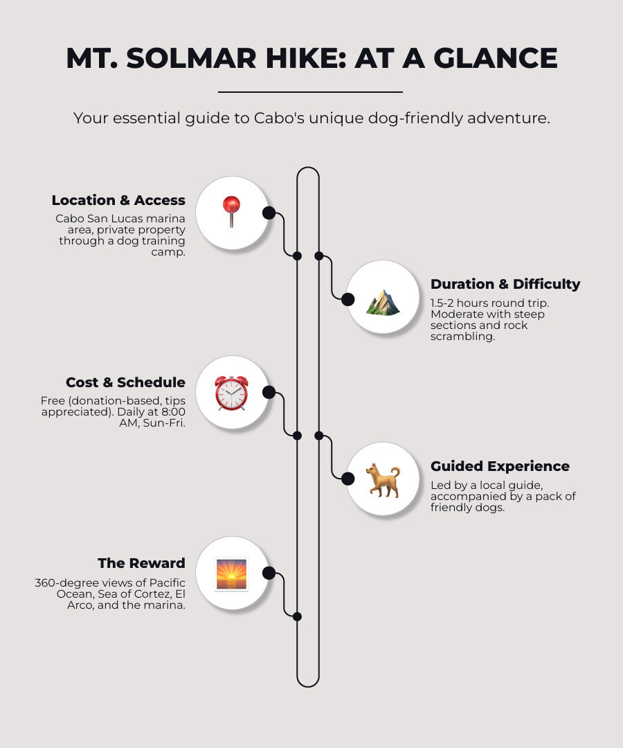 Mt Solmar hike at a glance infographic showing location at Cabo San Lucas marina, 1.5 to 2 hour duration, moderate difficulty with rock scrambling, donation-based cost with cash tips, daily tours at 8 AM Sunday to Friday, guide Enrique and his dogs, what to bring including sturdy shoes water sunscreen and cash, and views of Pacific Ocean Sea of Cortez El Arco and marina - mt solmar infographic infographic-line-5-steps-elegant_beige Mt Solmar hike at a glance infographic showing location at Cabo San Lucas marina, 1.5 to 2 hour duration, moderate difficulty with rock scrambling, donation-based cost with cash tips, daily tours at 8 AM Sunday to Friday, guide Enrique and his dogs, what to bring including sturdy shoes water sunscreen and cash, and views of Pacific Ocean Sea of Cortez El Arco and marina - mt solmar infographic infographic-line-5-steps-elegant_beige