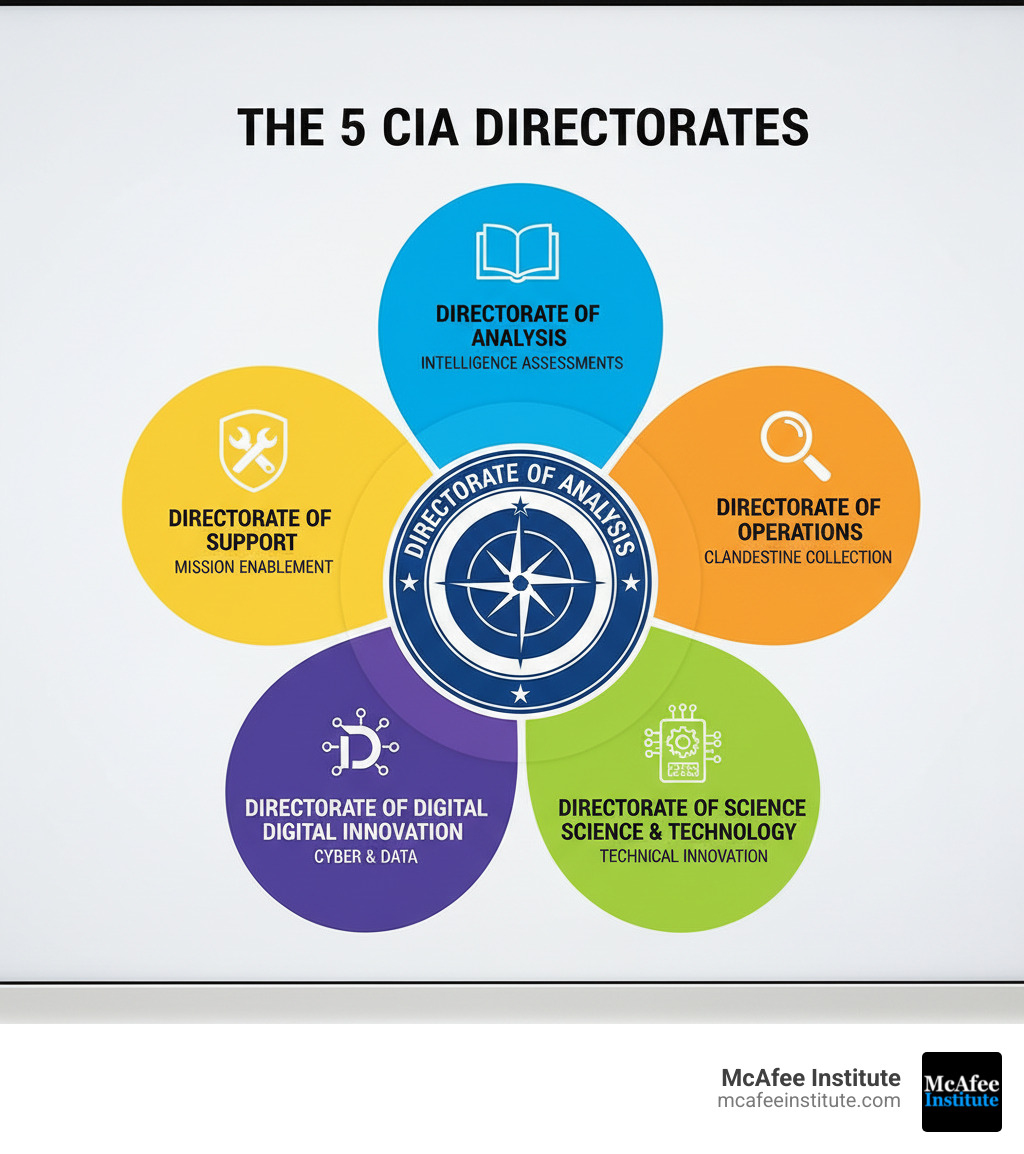 Infographic showing the 5 CIA Directorates: Directorate of Analysis (producing intelligence assessments), Directorate of Operations (clandestine collection), Directorate of Science and Technology (technical innovation), Directorate of Digital Innovation (cyber and data), and Directorate of Support (mission enablement) - how to become a cia analyst infographic Infographic showing the 5 CIA Directorates: Directorate of Analysis (producing intelligence assessments), Directorate of Operations (clandestine collection), Directorate of Science and Technology (technical innovation), Directorate of Digital Innovation (cyber and data), and Directorate of Support (mission enablement) - how to become a cia analyst infographic