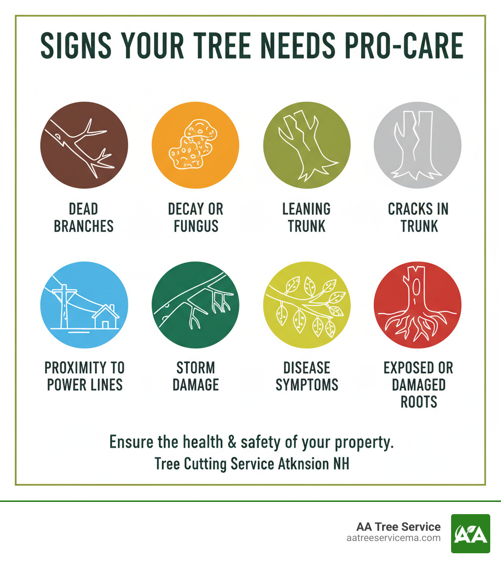 Infographic showing key signs a tree needs professional attention including dead branches, visible decay or fungus, leaning trunk, cracks in the trunk, proximity to power lines or structures, storm damage with split limbs, disease symptoms like discolored leaves, and exposed or damaged roots - tree cutting service atkinson nh infographic 