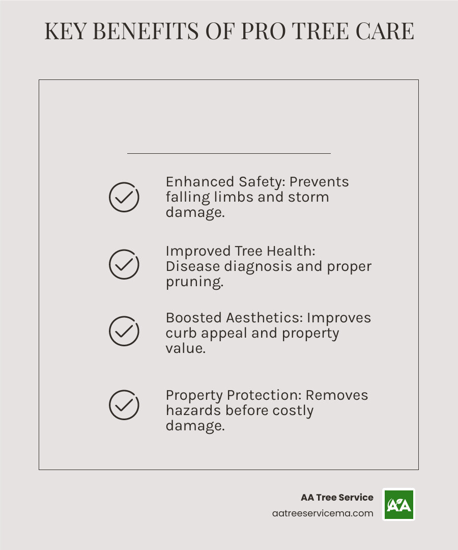 Infographic showing key benefits of professional tree care: Safety - Prevents falling limbs and storm damage; Tree Health - Disease diagnosis and proper pruning; Aesthetics - Improves curb appeal and property value; Property Protection - Removes hazards before they cause costly damage - tree cutting service chester nh infographic checklist-light-beige