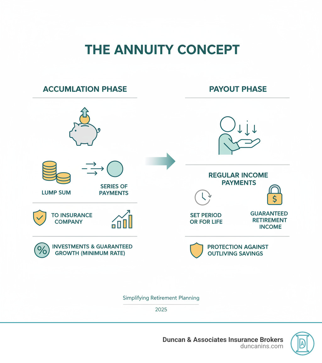 Infographic showing the basic concept of an annuity: You pay a lump sum or series of payments to an insurance company during the accumulation phase. The insurance company invests your money and guarantees growth at a minimum rate. During the payout phase, you receive regular income payments for a set period or for life, providing guaranteed retirement income and protection against outliving your savings. - buying an annuity infographic 