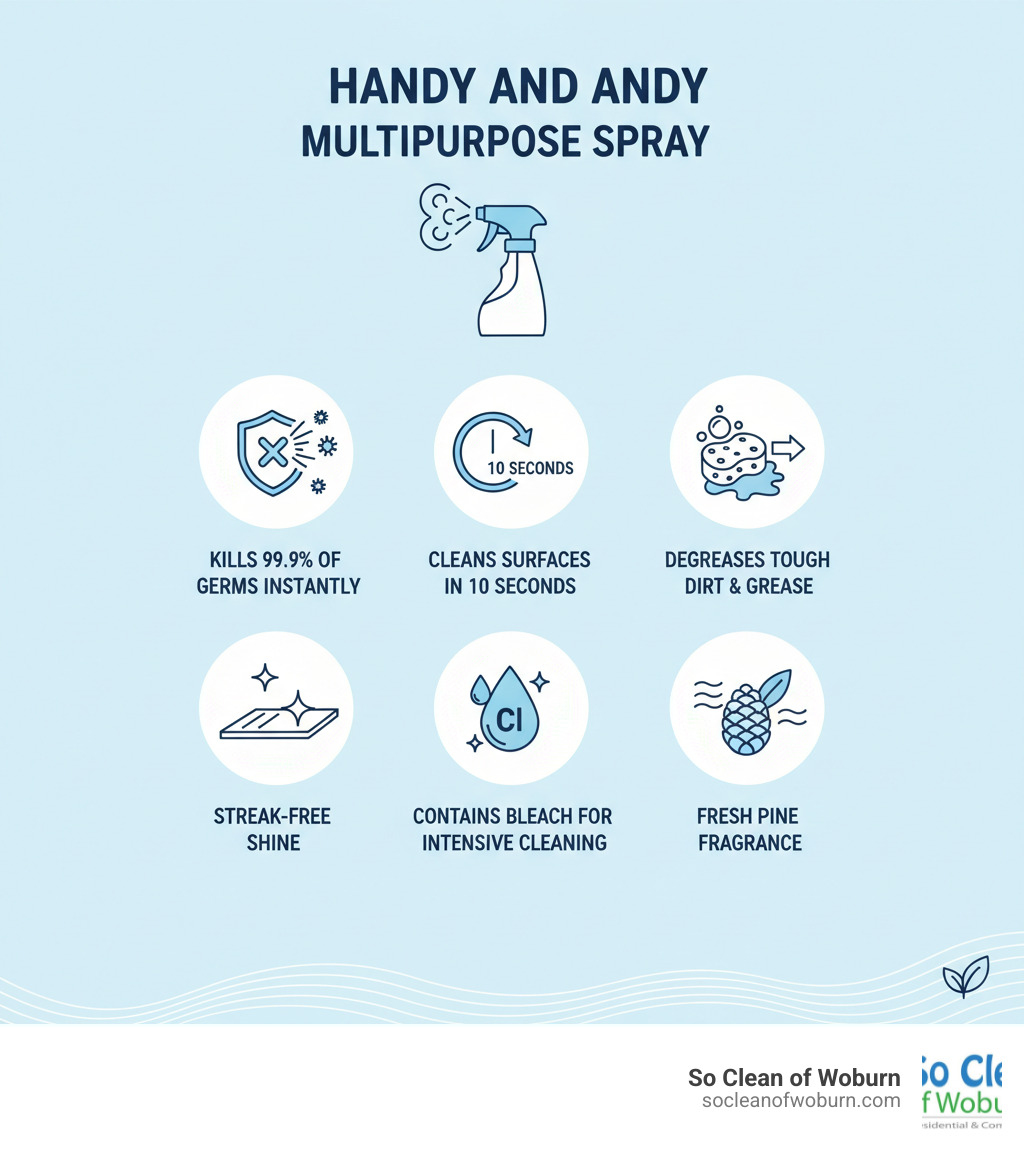 infographic showing handy andy multipurpose spray key features: kills 99.9% of germs instantly, cleans surfaces in 10 seconds, degreases tough dirt and grease, leaves a streak-free shine, contains bleach for intensive cleaning, fresh pine fragrance - handy andy multipurpose spray infographic 