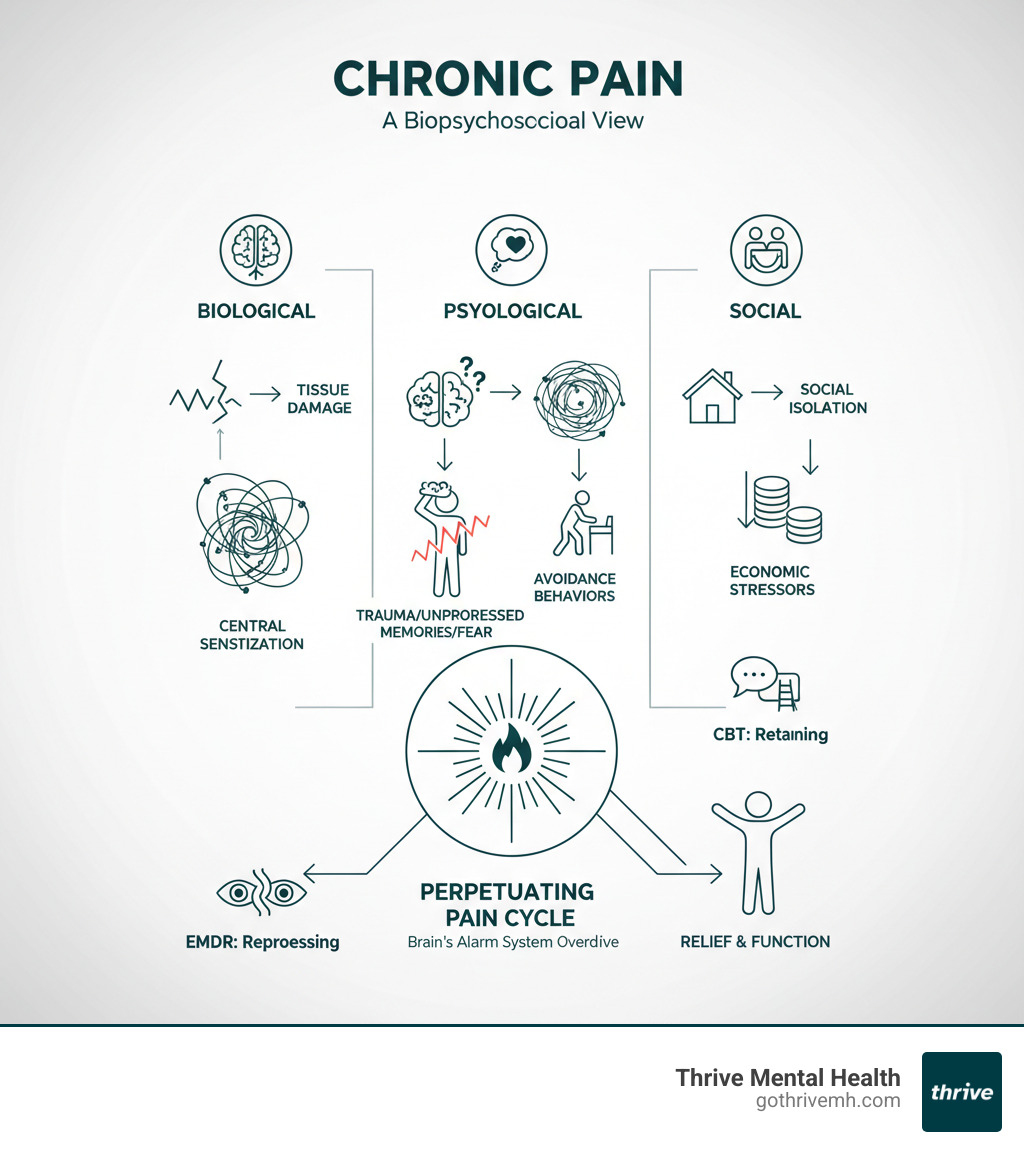 Infographic on the biopsychosocial factors of chronic pain - emdr vs cbt for chronic pain infographic 