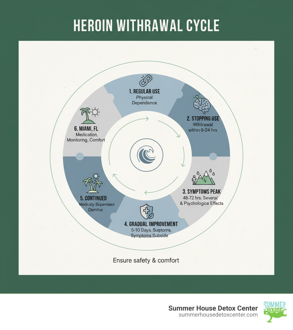Infographic showing the heroin withdrawal cycle: Regular heroin use leads to physical dependence, stopping use triggers withdrawal symptoms within 6-24 hours, symptoms peak at 48-72 hours with severe physical and psychological effects, symptoms gradually subside over 5-10 days, and medically supervised detox in Miami FL provides medication, monitoring, and support throughout the process to ensure safety and comfort - heroin withdrawal symptoms infographic 