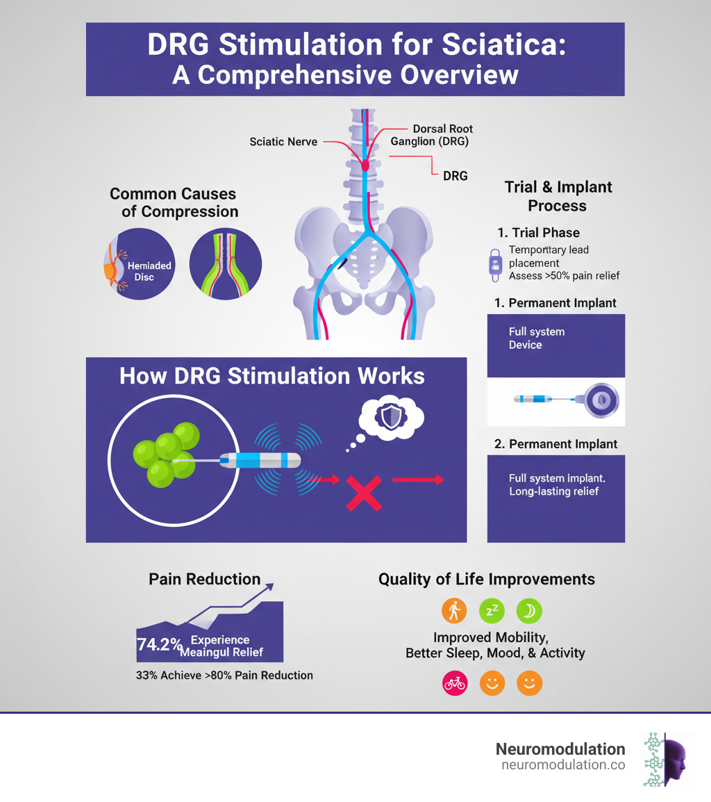 Comprehensive overview of DRG stimulation for sciatica, showing the pathway from sciatic nerve anatomy through the dorsal root ganglion, common causes of compression (herniated disc, spinal stenosis), how DRG stimulation targets pain signals, the trial and implant process, and expected outcomes including pain reduction percentages and quality of life improvements - DRG for sciatica infographic Comprehensive overview of DRG stimulation for sciatica, showing the pathway from sciatic nerve anatomy through the dorsal root ganglion, common causes of compression (herniated disc, spinal stenosis), how DRG stimulation targets pain signals, the trial and implant process, and expected outcomes including pain reduction percentages and quality of life improvements - DRG for sciatica infographic