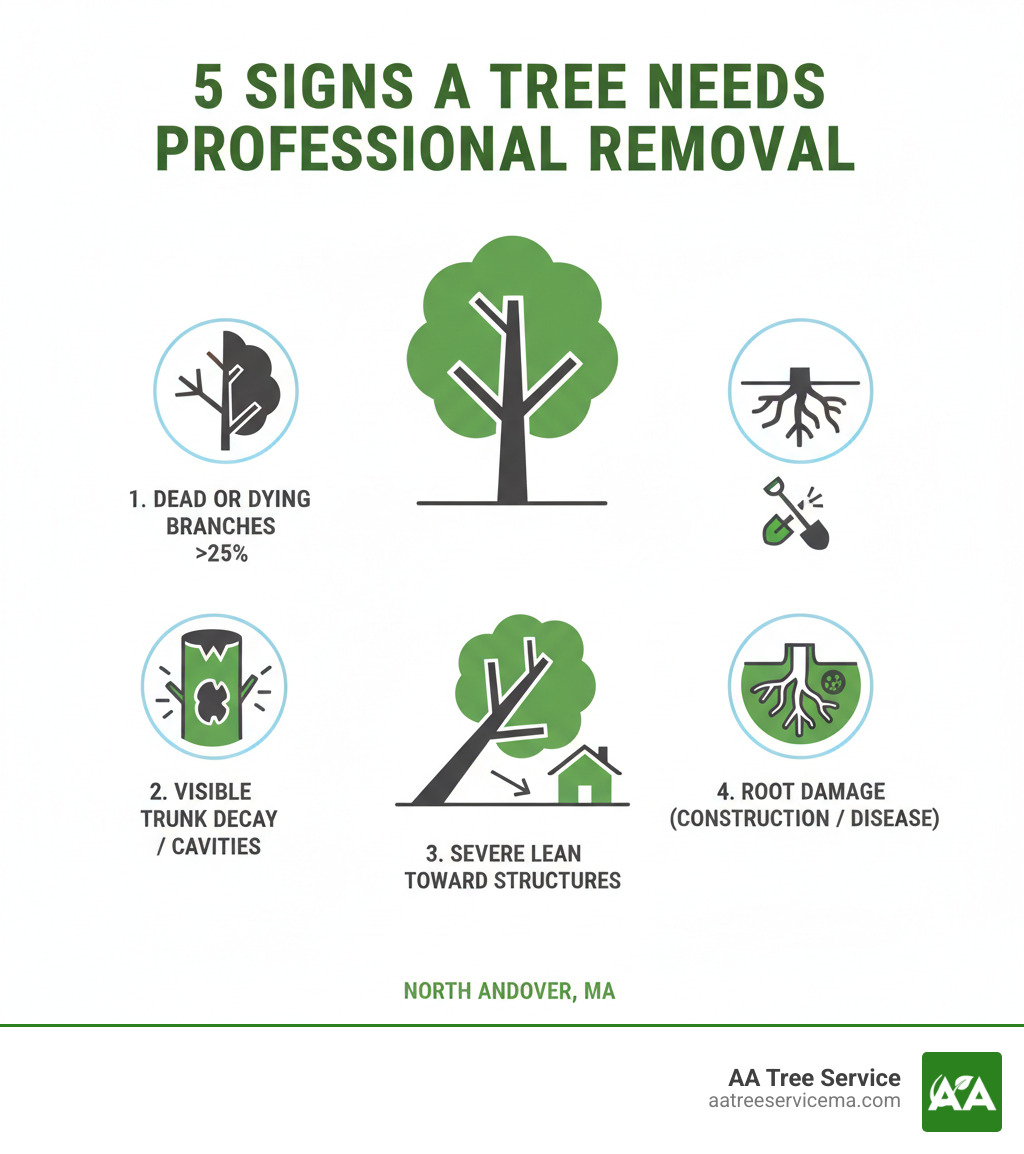 Infographic showing the top 5 signs a tree needs professional removal: dead or dying branches covering more than 25% of the tree, visible trunk decay or cavities, severe lean toward structures, root damage from construction or disease, and large dead limbs hanging over homes or driveways - tree removal services north andover ma infographic 