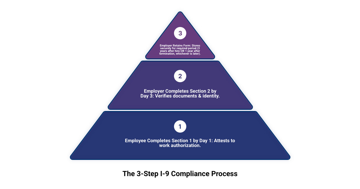 Infographic showing the 3-step I-9 process: Step 1 - Employee completes Section 1 by their first day of employment, including personal information and attestation of work authorization status. Step 2 - Employer examines original documents from the Lists of Acceptable Documents and completes Section 2 within three business days of the employee's start date. Step 3 - Employer retains the completed form for three years after the date of hire OR one year after employment ends, whichever is later, and makes it available for government inspection. - I-9 compliance guide infographic 3_stage_pyramid