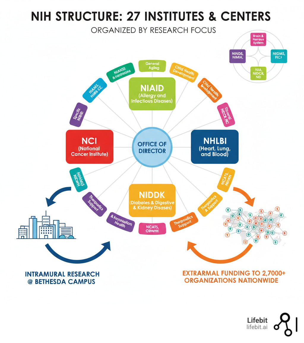 Infographic showing the NIH structure with 27 Institutes and Centers organized by research focus area, including the Office of the Director at the center, surrounded by major institutes like NCI (National Cancer Institute), NHLBI (Heart, Lung, and Blood), NIAID (Allergy and Infectious Diseases), and others, with arrows indicating intramural research at Bethesda campus and extramural funding to 2,700+ organizations nationwide - national health institute bethesda infographic Infographic showing the NIH structure with 27 Institutes and Centers organized by research focus area, including the Office of the Director at the center, surrounded by major institutes like NCI (National Cancer Institute), NHLBI (Heart, Lung, and Blood), NIAID (Allergy and Infectious Diseases), and others, with arrows indicating intramural research at Bethesda campus and extramural funding to 2,700+ organizations nationwide - national health institute bethesda infographic