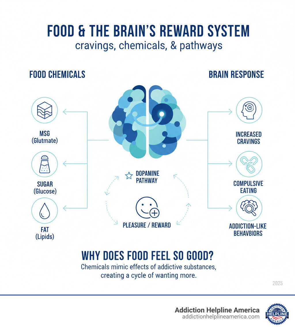 Infographic explaining how food chemicals can impact brain reward systems and potentially contribute to addiction-like behaviors - can msg and other chemicals in food cause drug addiction infographic 