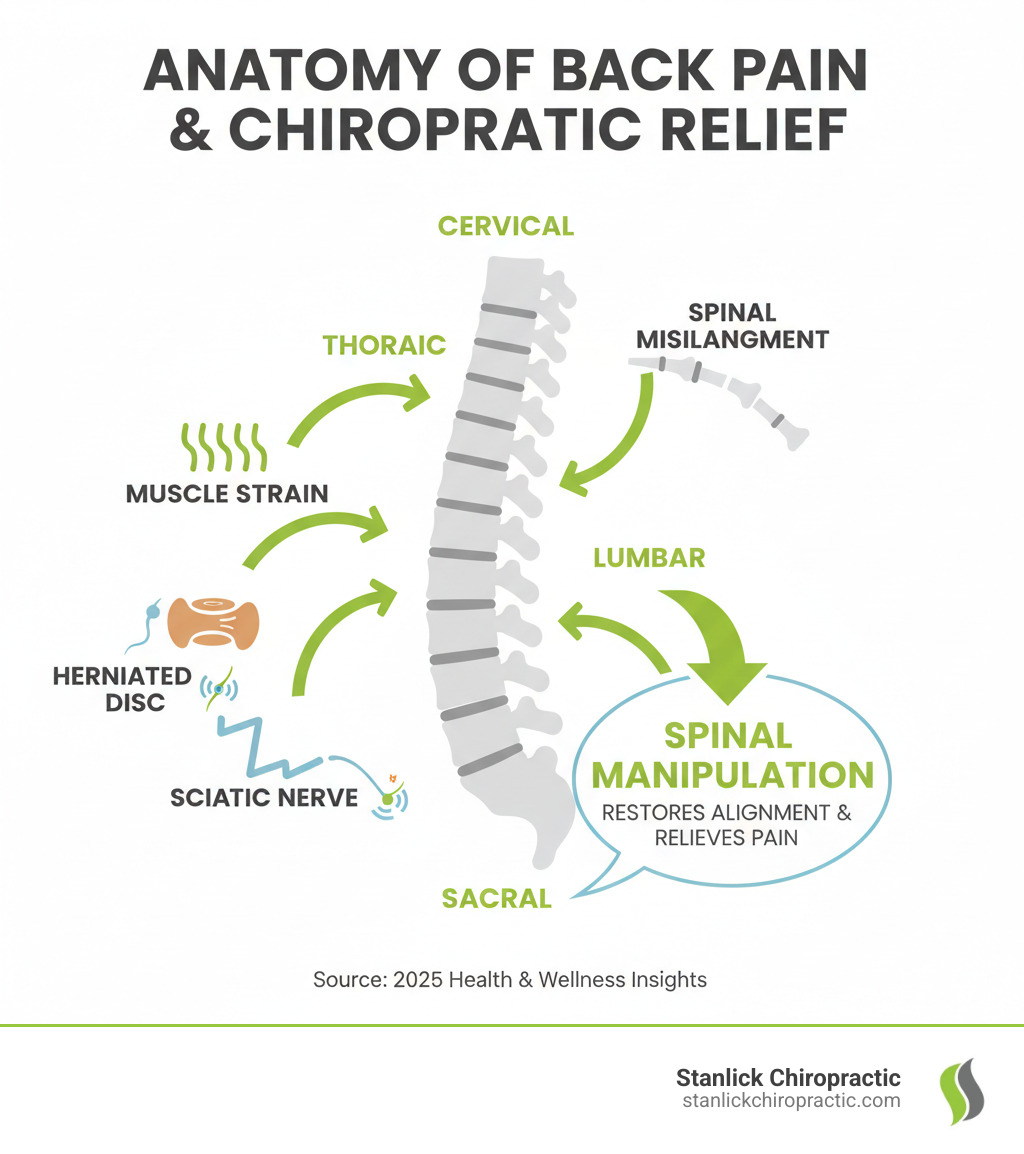 Chiropractor for Back Pain: Ultimate Relief 2025